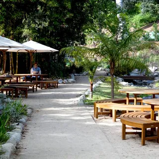 A quiet botanical garden most people walk past